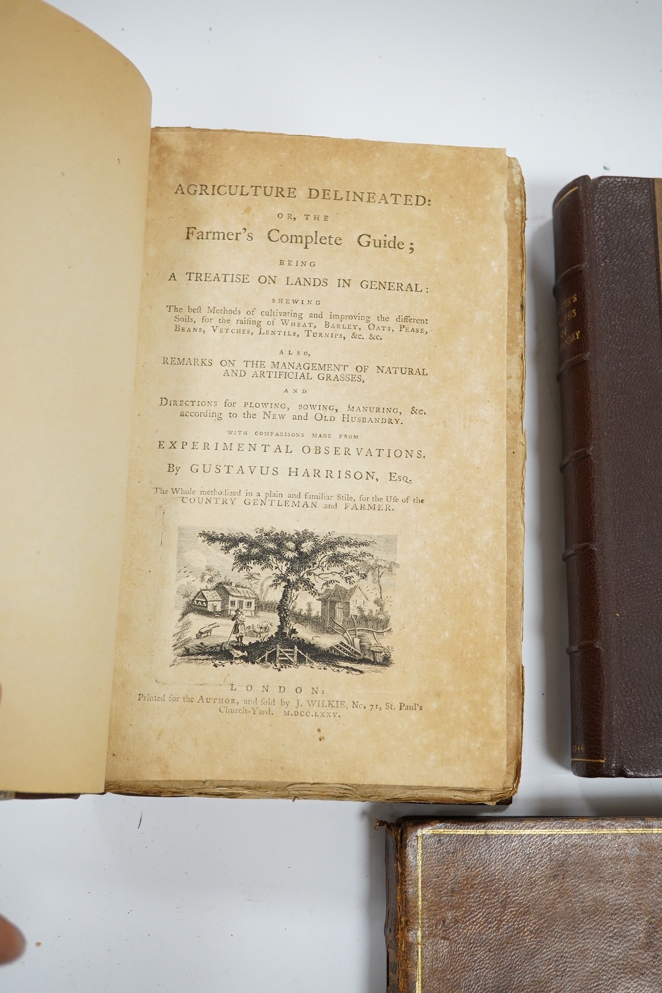 Banister, John - A Synopsis of Husbandry. Being cursory observations in the several branches of rural economy....folded table; rebound chocolate half morocco and paper boards, gilt lettered panelled spine. 1799; Harrison